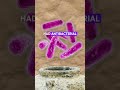 Ancient Soap Secrets: How Biblical Cleansing Matches Modern Science! # bible #christian #biblestudy