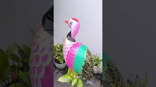 Download lagu I have chickens, ducks and geese #subscribe #shorts #trending #birds #chickens #ducks mp3