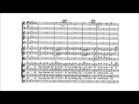 Wolfgang Amadeus Mozart – Die Zauberflöte (The Magic Flute), K. 620 {Overture, Act I} [With score]