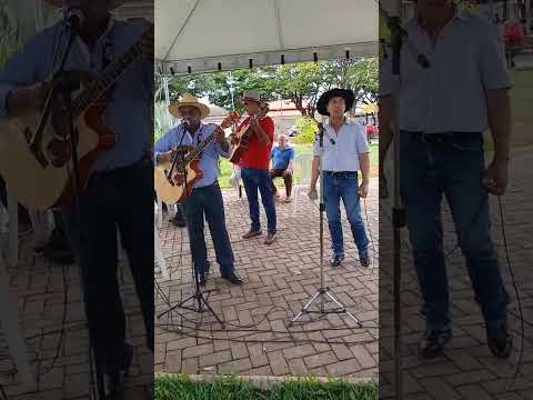 17 /11/2025 mais um domingão na feira em Santa Juliana MG