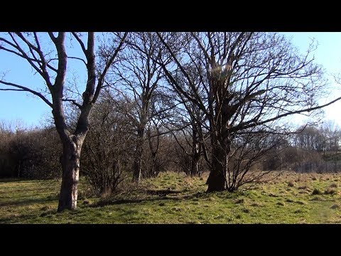 M'OFF to WRENNY! Our Trek Round Wrenthorpe Park in Wakefield