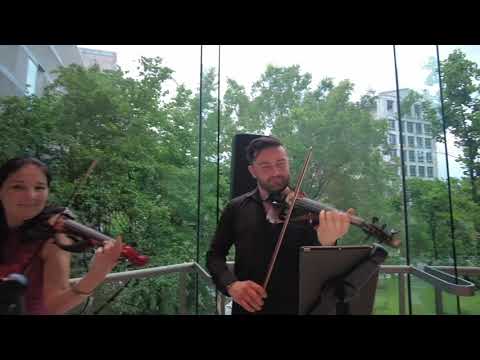 Promotional video thumbnail 2 for Elegance Quartet Entertainment