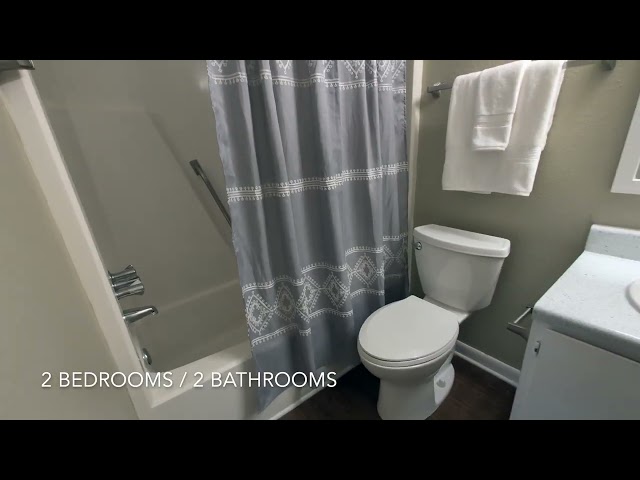 Video 1