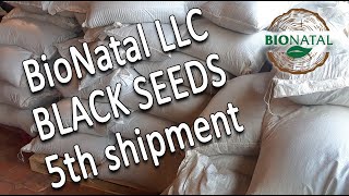 Big shipment of the seeds from Ethiopia delivered