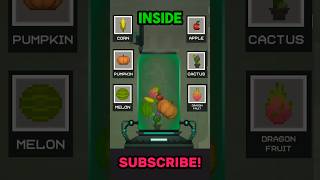 Download lagu 99% Orang Tidak Tahu Fakta Ini 😳😱 #melonplayground #fakta #melon mp3