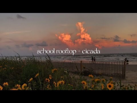 //school rooftop + cicada//