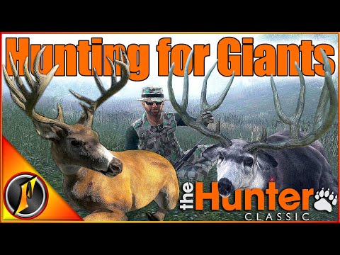 Hunting for Giant Bucks on Loggers Point! | theHunter Classic