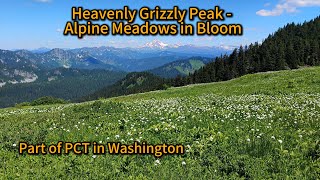 Alpine Meadows in CRAZY Bloom - Grizzly Peak along PCT