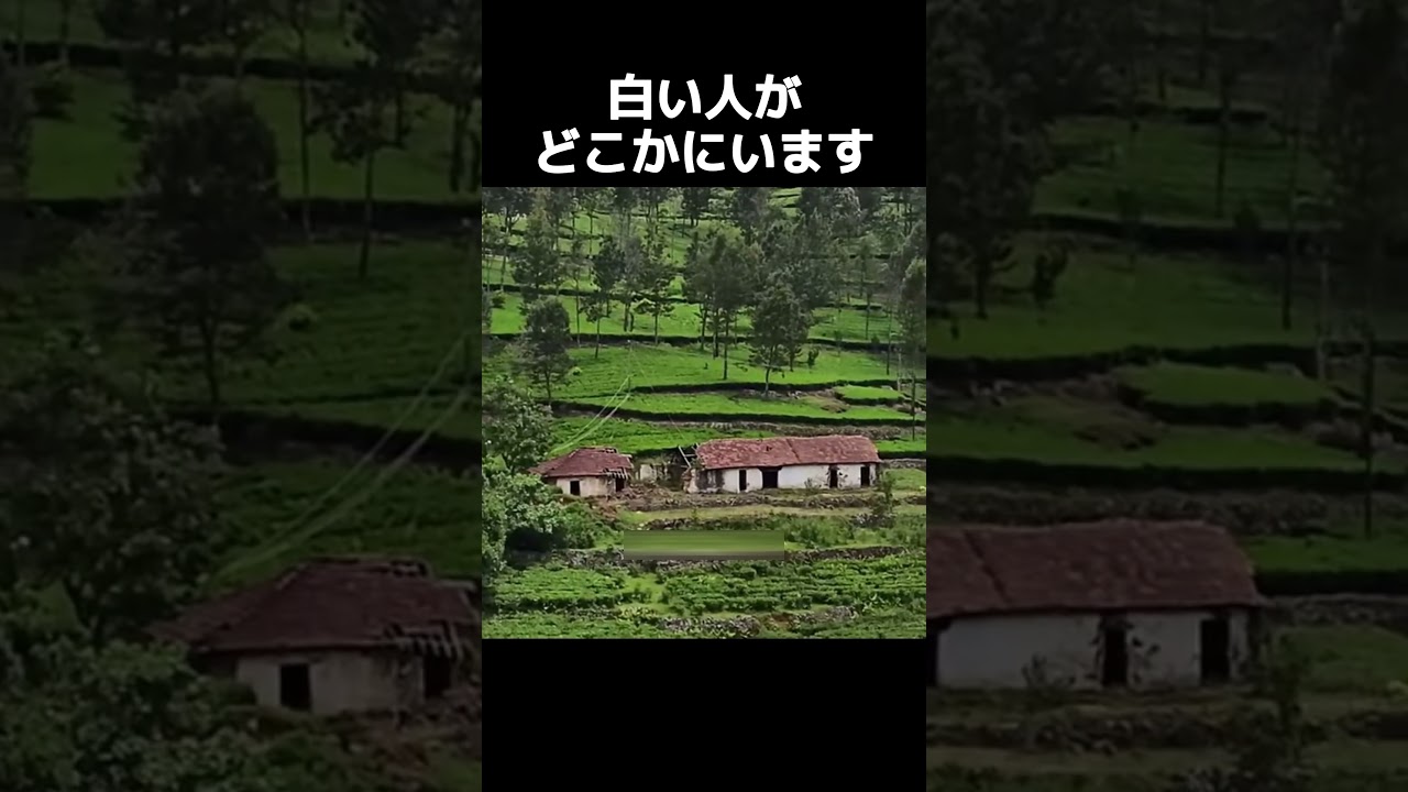 怖い怖い怖い怖い