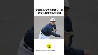 【160km投げる配信者】平良海馬の思い出