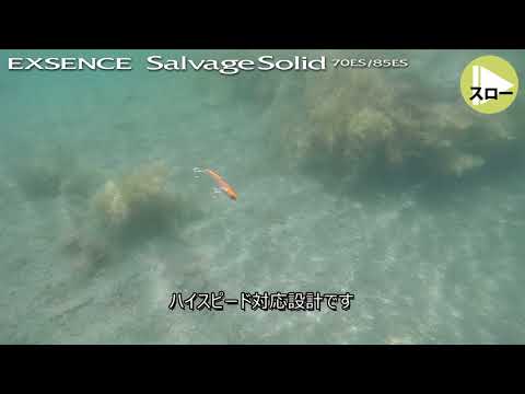 Cicada Shimano Exsence Salvage Solid 60ES 6cm 12g #018 S