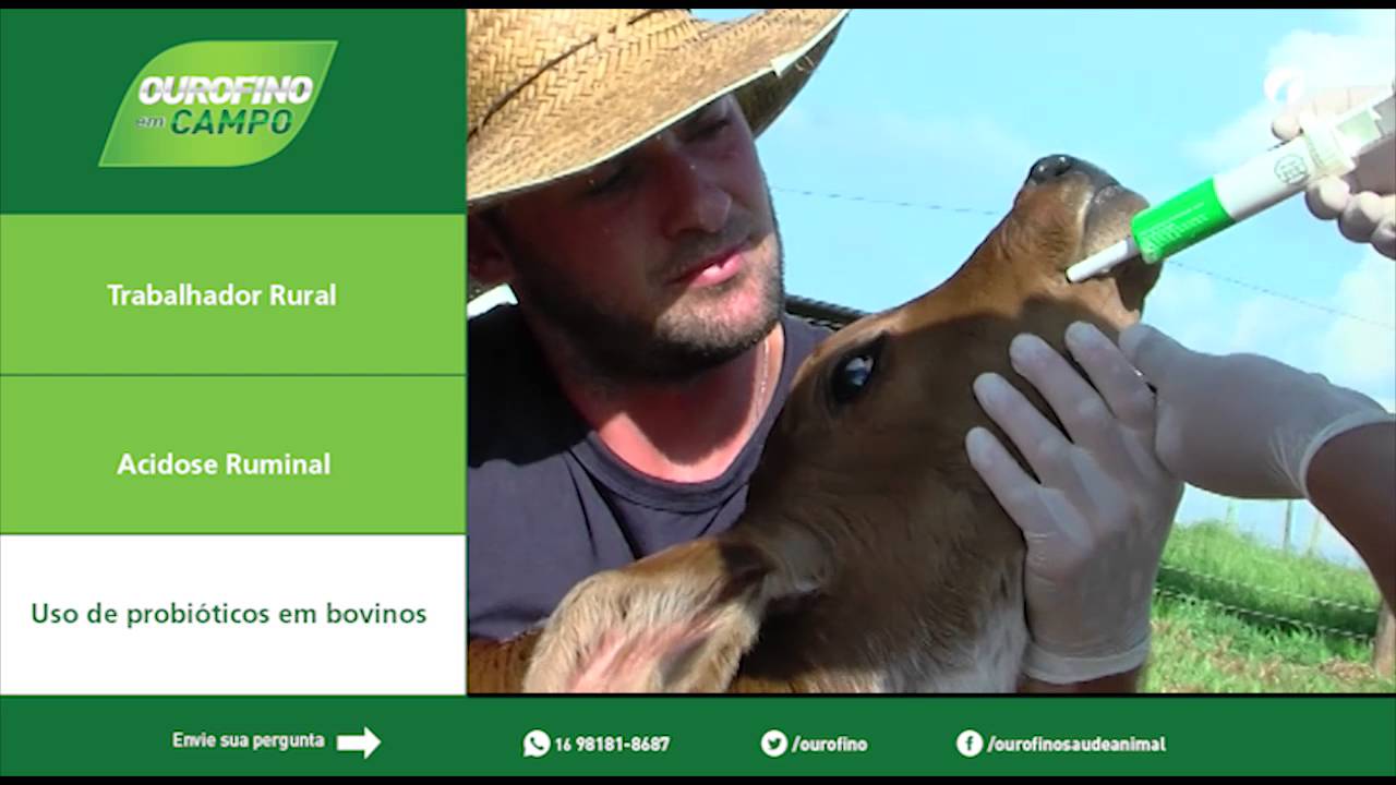 Dia do Trabalhador Rural, Prevenção da Acidose Ruminal - Ourofino em Campo