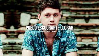 You and me  • Niall Horan | Letra en español / inglés
