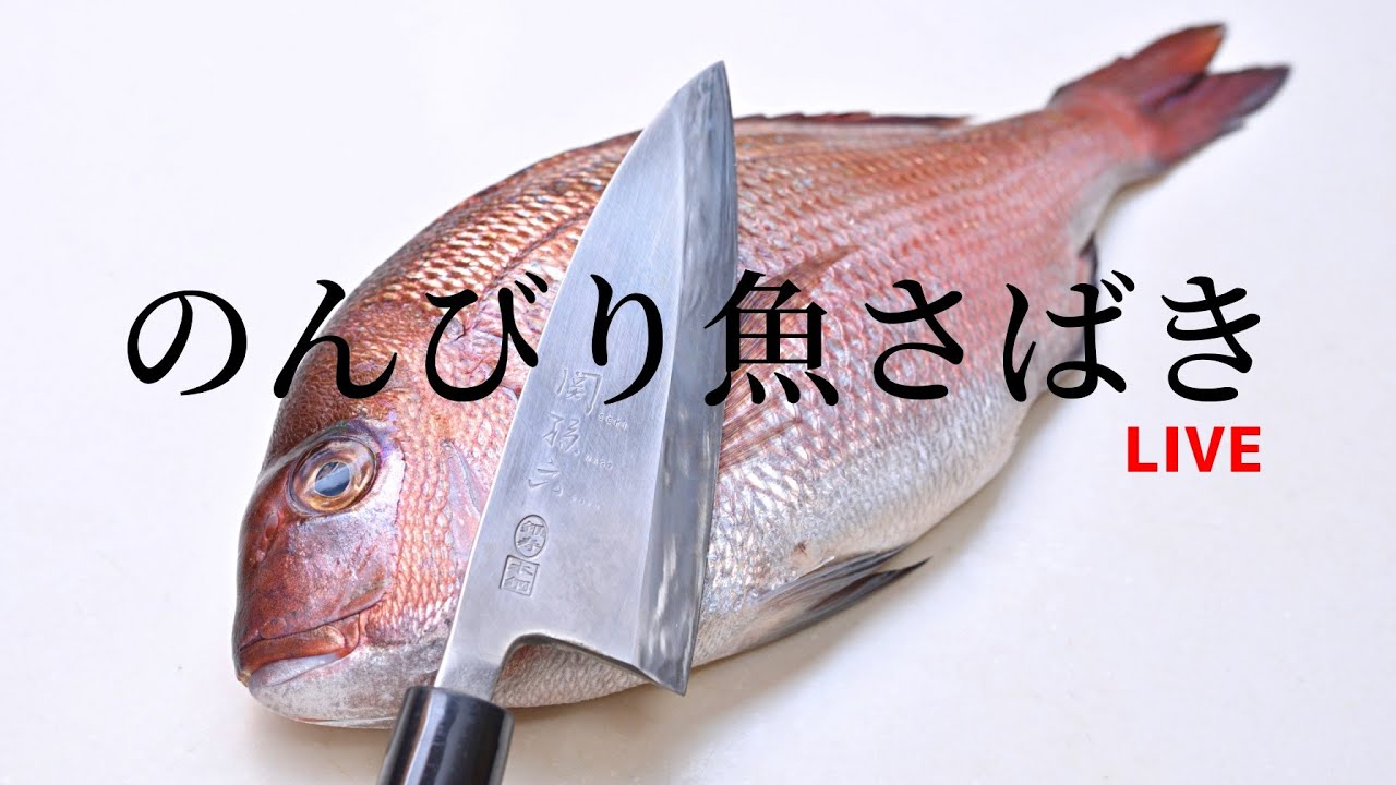 【作業配信】リハビリ魚さばき マダイ メジナ #魚さばき#魚捌き #FilletingFish