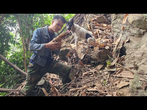 Unexpectedly caught a wild hen and brought her home to raise