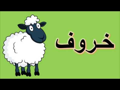 تعليم اسماء الحيوانات البريه والبحريه للاطفال هنا hana