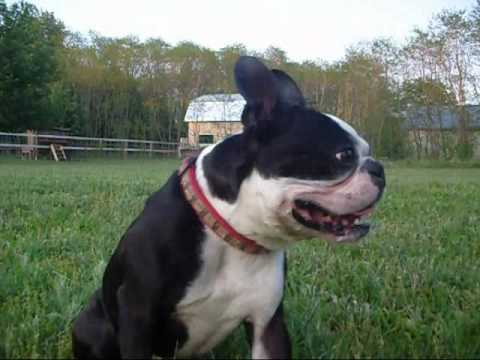 Summer 2010- Life is Beautiful