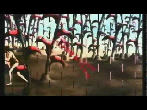 MUBALI vs. KINDZADZA - Galactic Cannibalism