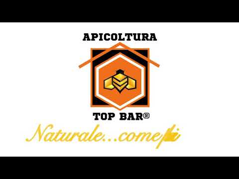 , title : 'Apicoltura Top Bar: Una caratteristica principale delle arnie naturali'