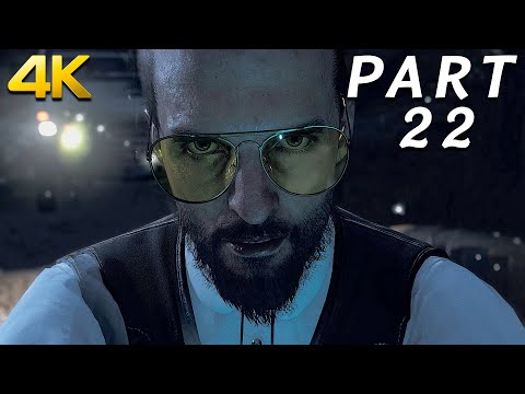 FAR CRY 5 GAMEPLAY WALKTHROUGH PART 22 - WINGMAN (FC5 PS4 Pro 4K)