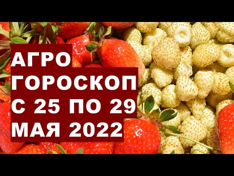 , title : 'Агрогороскоп с 25 по 29 мая 2022 года'