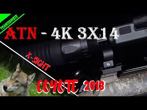 Coyote hunting with ATN x-sight 4k -Predator tactics