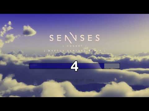 Karaoke | SENNSES  - Honest (Marcus Santoro Remix) (instrumental + lyrics)