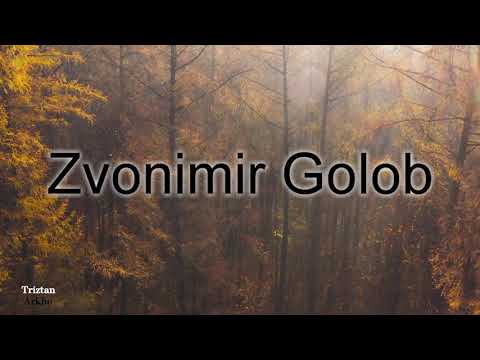 Sve ruže svijeta - Zvonimir Golob (izvedba Zrinko Kapetanić)
