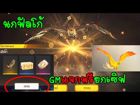 ชื่อ ฟีฟาย