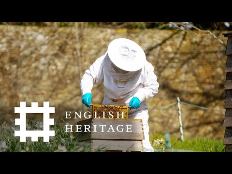 Meet the beekeeper at Battle Abbey!