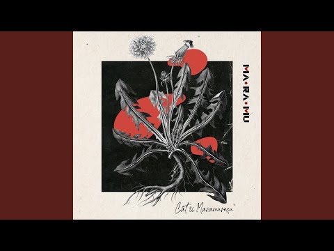 Cât îi Maramureșu'