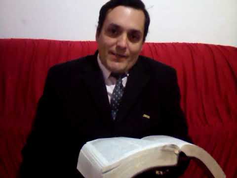 Depoimento 15
