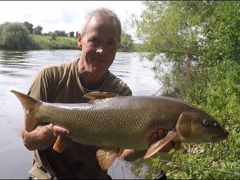 River Trent fishing summer barbel Patric Kyte