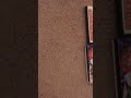 Two Spongebob Halloween DVDs I Have