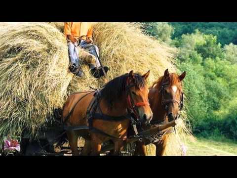 67-Spomini na minula leta