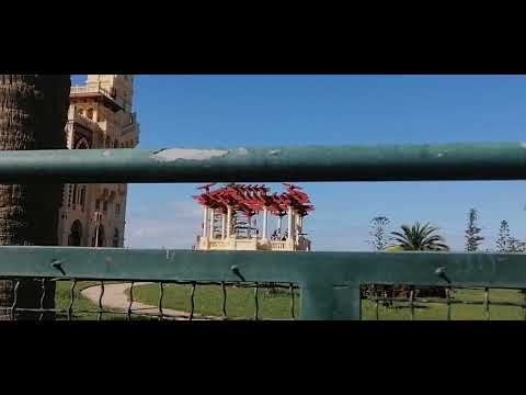 EGYPT |مصر | Alexandria Montaza Palace