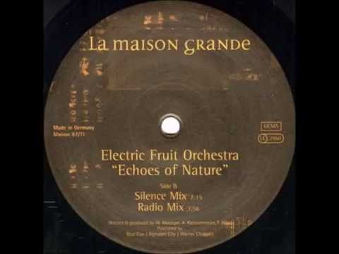Electric Fruit Orchestra - Echoes Of Nature (Radio Mix)