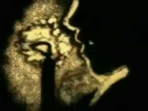 Maestro MaHzen - Sonbaharın Yağmuru