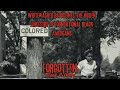 Whitewashed Bloodlines The Hidden Ancestry Of Foundational Black Americans Forgotten Black History