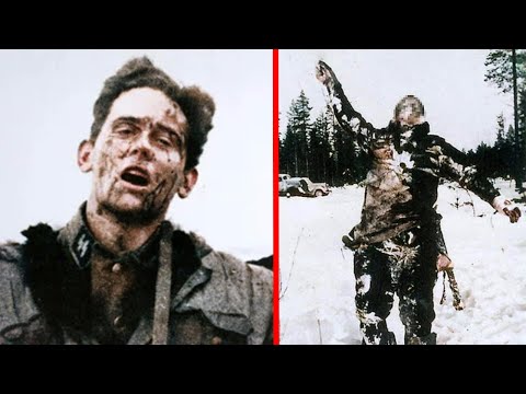 The HORRORS The N4ZIS Faced On The Eastern Front