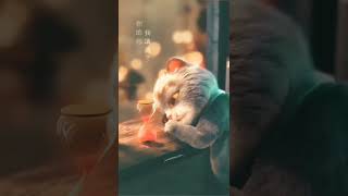 Download lagu 💝 Status kartun menyentuh hati |💔 status kartun sedih | status animasi sedih untuk whatsapp #shorts mp3