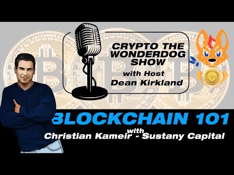 SPECIAL EPISODE - What is BLOCKCHAIN? Blockchain 101 with Christian Kameir