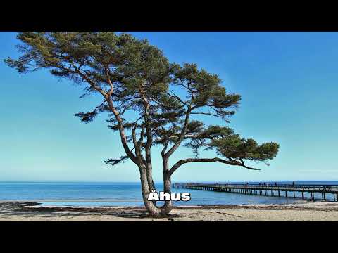 Tips på 60 platser att besöka i Skåne, Sverige