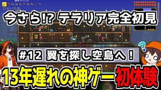 【初見テラリア】翼を手に入れるため空島を探すぞ！ #12 【Twitch同時配信】