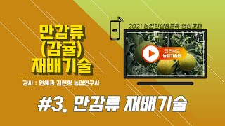 [만감류(감귤) 재배기술] part 3. 만감류 재배기술