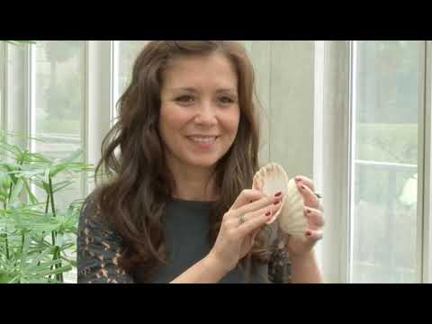 Musique Ialma  chant