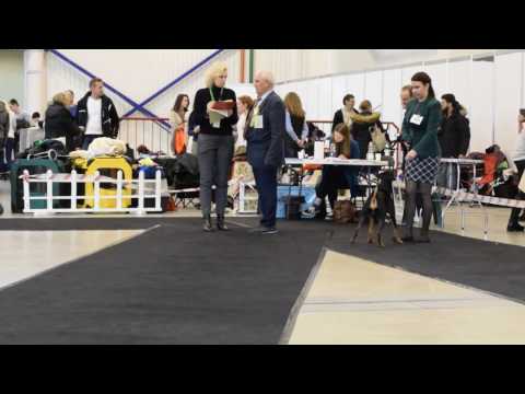 CACIB LITHUANIAN WINNER’17