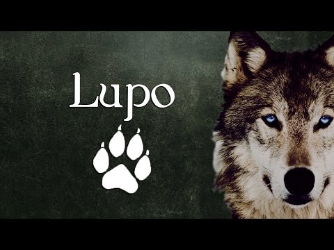 08 - La Medicina del Lupo