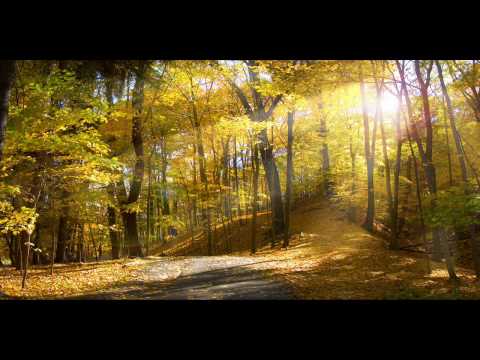 [HQ] tyDi - Good Dream (Barnes & Heatcliff Remix)