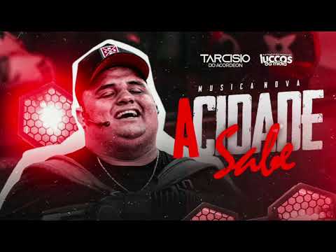 TARCÍSIO DO ACORDEON - A Cidade Sabe [Música Nova] @luccaasdamidiia #LuccasDaMídia